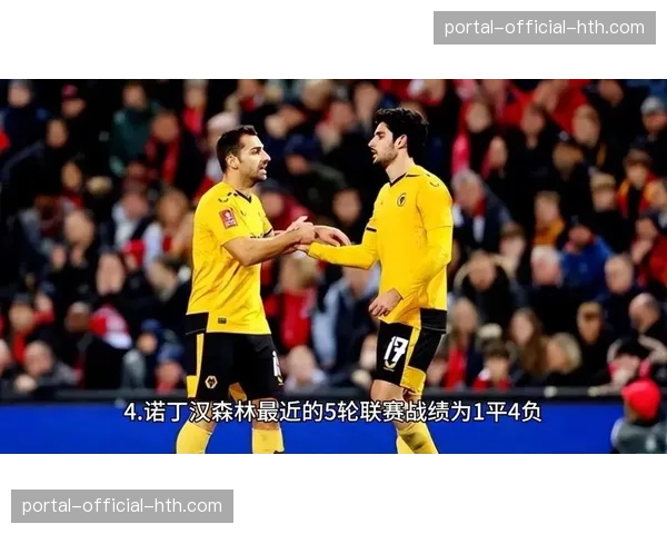 英超赛场花絮：热刺vs诺丁汉森林比赛中，闯入的猫成为社交网络焦点